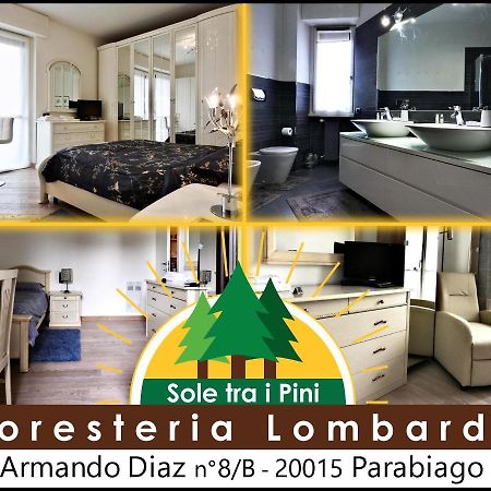 Sole Tra I Pini - Foresteria Lombarda Parabiago Extérieur photo